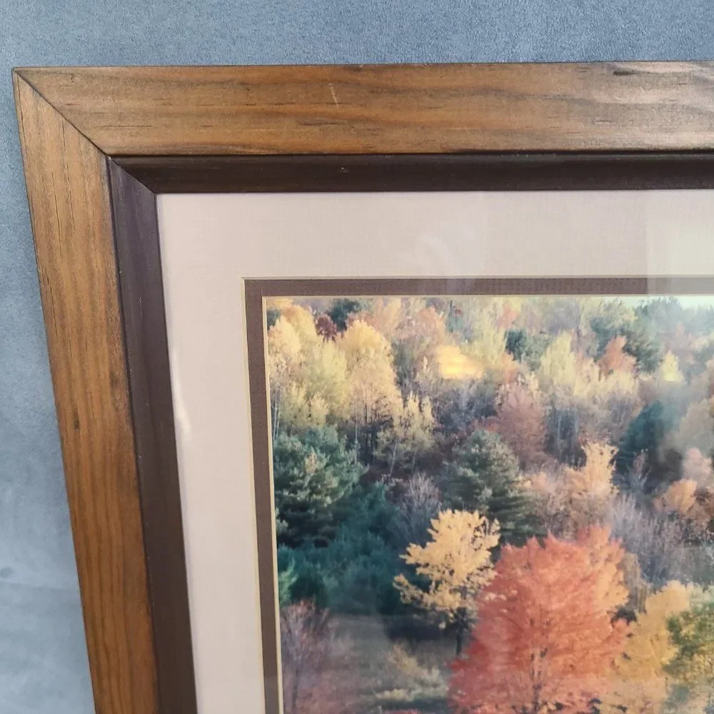 Vintage Autumn Fall Photography Wall Hanging Framed and Matted J Palmer 1988